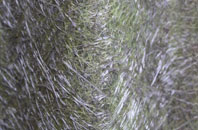 Great Burdon fibreglass roof work